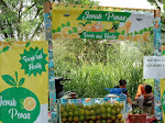 Manisnya Rupiah Dari Larisnya Jeruk Peras